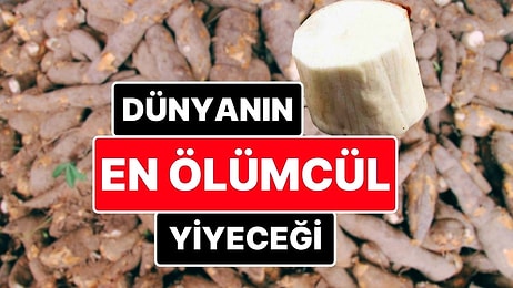 Dünyanın En Ölümcül Yiyeceği! Her Yıl Yaklaşık 200 Kişinin Ölümüne Neden Olan Yiyecek; Manyok!