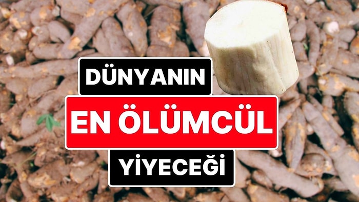 Dünyanın En Ölümcül Yiyeceği! Her Yıl Yaklaşık 200 Kişinin Ölümüne Neden Olan Yiyecek; Manyok!