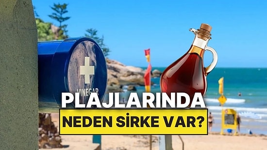 Avustralya Plajlarında Neden Sirke İstasyonları Var?