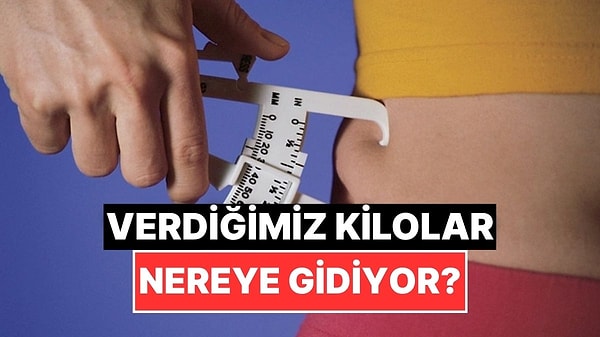 Kapak Görseli