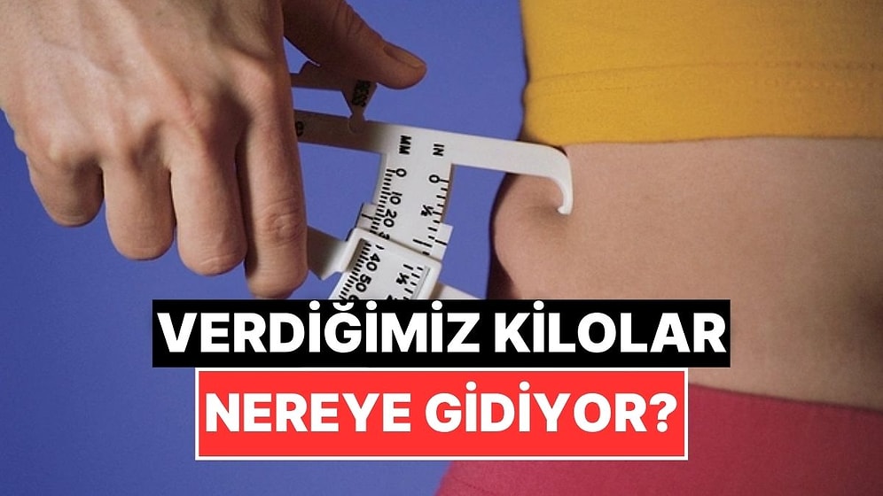 Kaybettiğimiz Onca Kilo Tam Olarak Nereye Gidiyor?