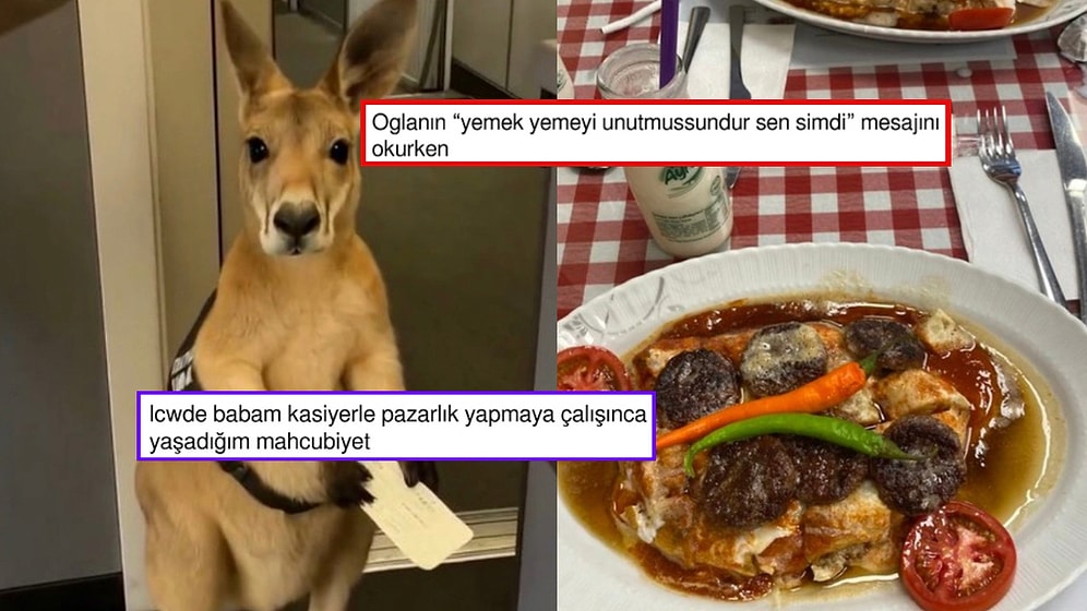 Uçağa Alınmayan Kangurunun Mahcubiyetinden Yemek Yemediğine İnandıran Kızlara Son 24 Saatin Viral Tweetleri