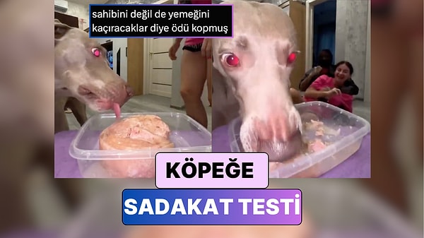 Kapak Görseli