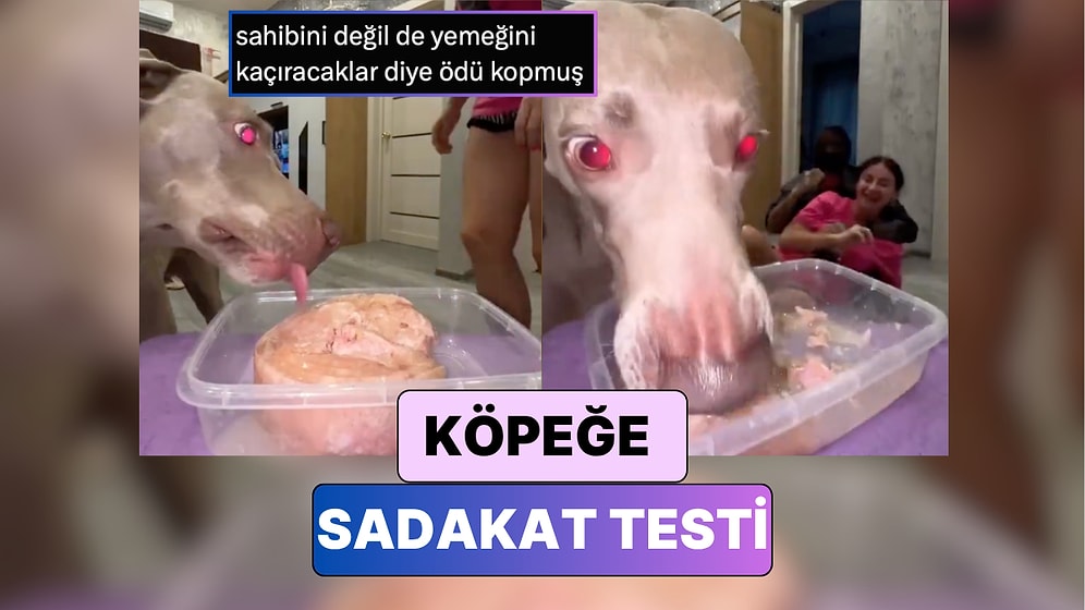 Umrunda Bile Olmadı: Bir Kadın Köpeğinin Önüne Yemek Koyup Kaçırılma Numarası Yaptı