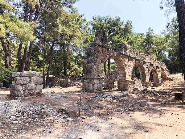 Experience History and Nature