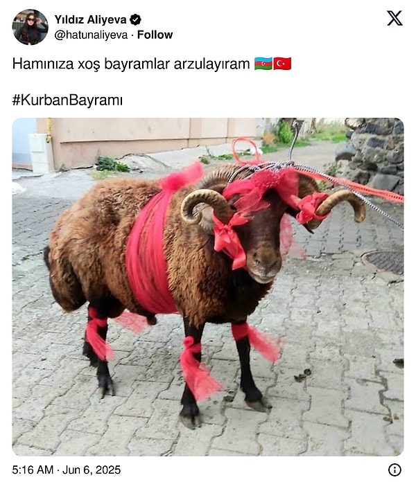 Kurban Bayramınız mübarek olsun! 👇
