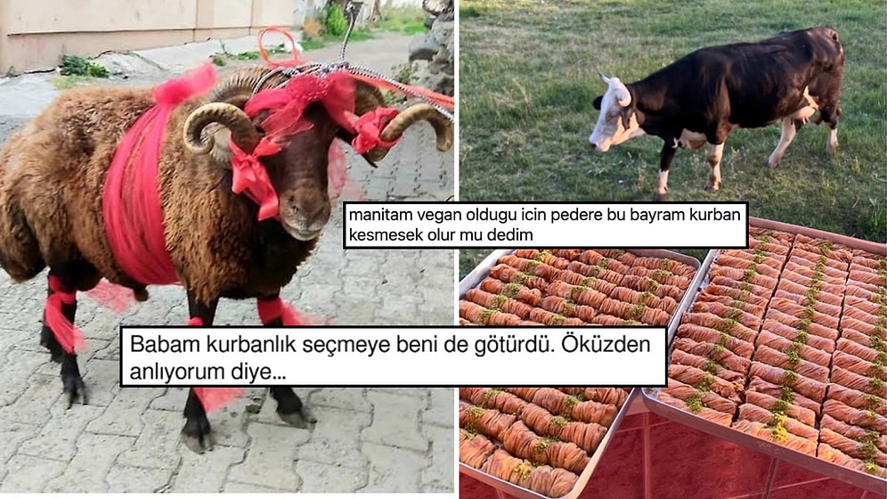 Kurban Bayramını Goygoyla Karşılayan Sosyal Medya Kullanıcılarının Güldüren Paylaşımları
