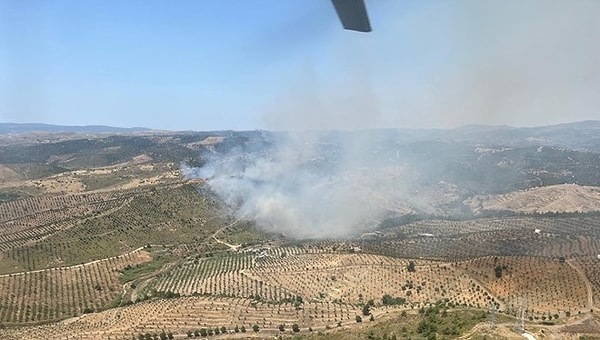 İzmir'de makilik alanda yangın çıktı.