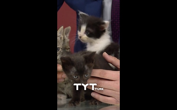 Yayındaki o kalpleri ısıtan anlar sosyal medyada gündem oldu.