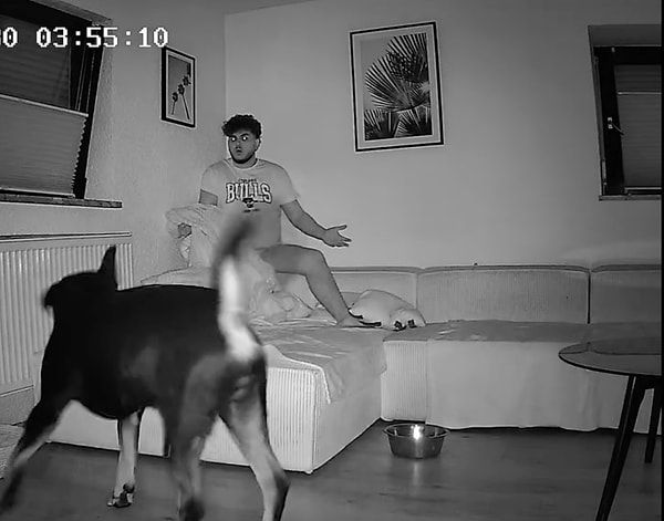 Mama kabı ile bir süre sahibinin başında bekleyen köpek, önce kendi kendine uyanmasını bekledi. Görseli