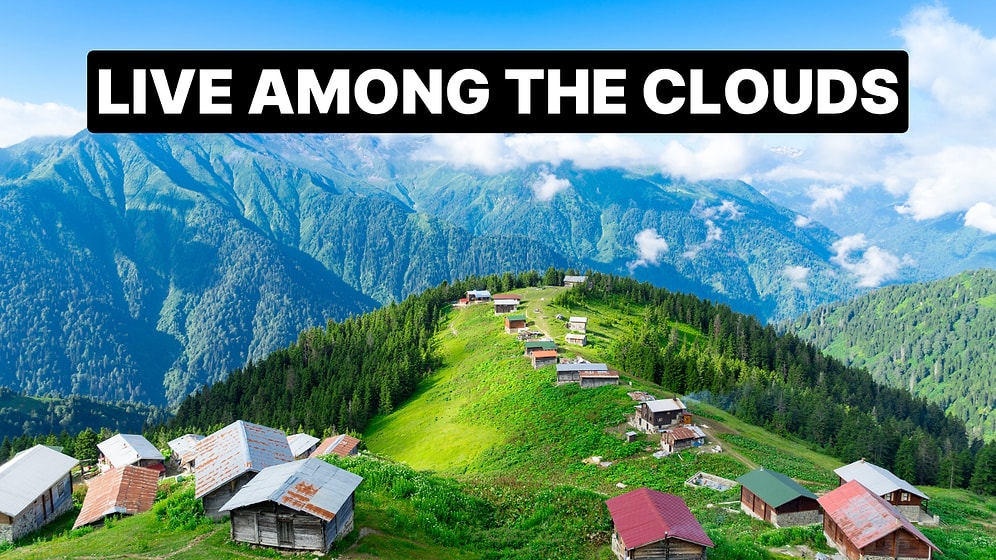 Explore Pokut and Sal Plateaus: Nature Escapes in Turkey’s Black Sea Region