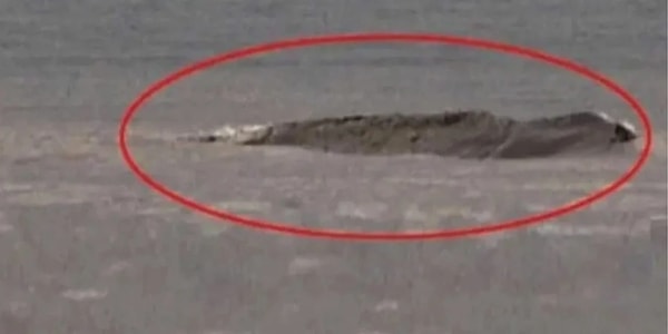 Kısa Dalga internet haber sitesi yazarı Mehmet Çetingüleç, bugünkü ''Bayramlık itiraf: Van Gölü canavarının mucidi benim'' başlıklı yazısıyla dikkatleri üzerine çekti.