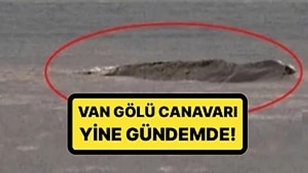 Kısa Dalga internet haber sitesi yazarı Mehmet Çetingüleç'ten yıllar sonra ilginç bir itiraf geldi. Çetingüleç yaptığı itiraf ile asparagas haber yaptığını da kabul etti.
