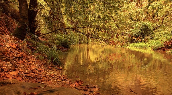 Adala Canyon