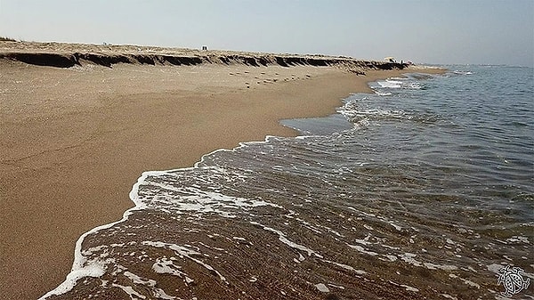Food and Drink Culture at Karasu Beach