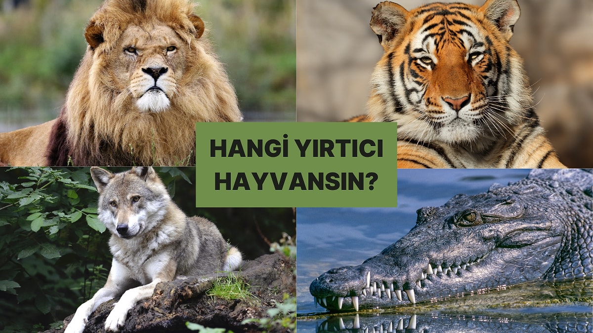 Bilinçaltın Hangi Yırtıcı Hayvana Benziyor?