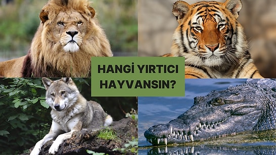 Bilinçaltın Hangi Yırtıcı Hayvana Benziyor?