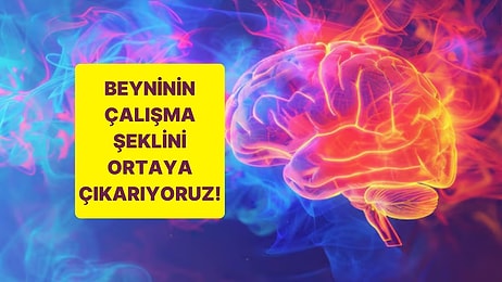 Görselde Gördüğün İlk Figüre Göre Beyninin Çalışma Şekli Ne?