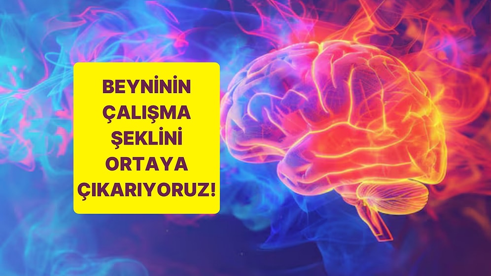 Görselde Gördüğün İlk Figüre Göre Beyninin Çalışma Şekli Ne?