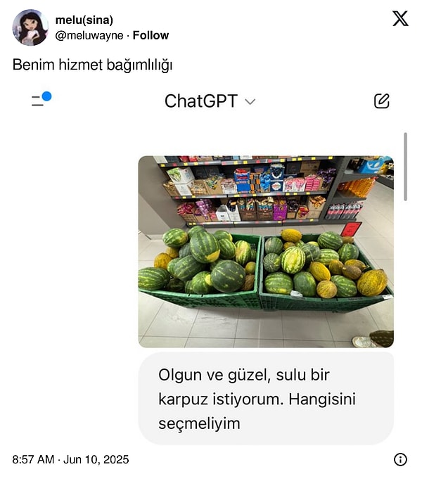 Bir X kullanıcısı da en iyi karpuzu ChatGPT'ye sordu. Görseli