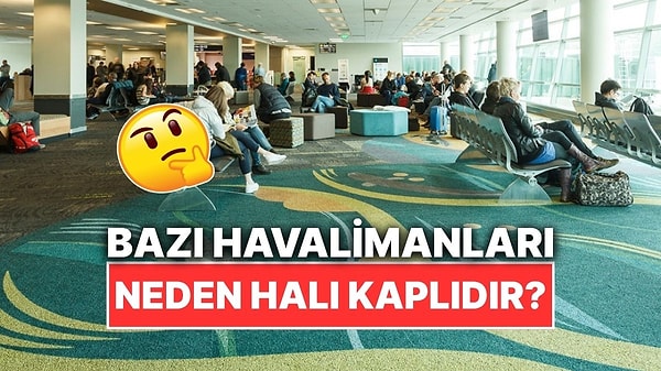 Kapak Görseli