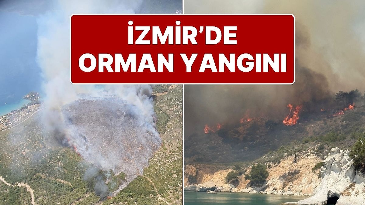 İzmir Karaburun&apos;da Orman Yangını: Karadan ve Havadan Müdahale Ediliyor