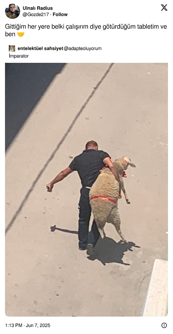 Kesin çalışırsın!
