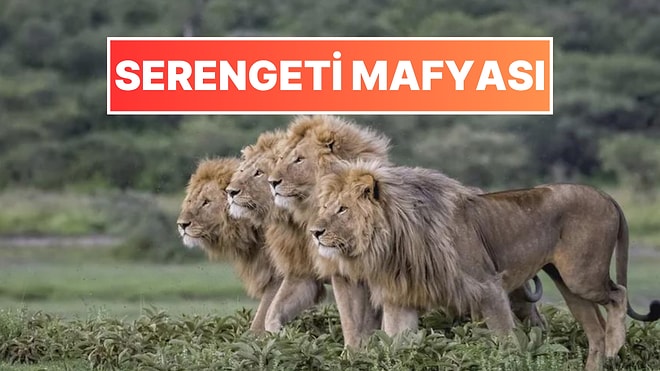 Doğanın Korkutucu Yüzünü İliklerinize Kadar Hissetmenize Sebep Olacak Birbirinden Ürkütücü 15 Yeni Fotoğraf