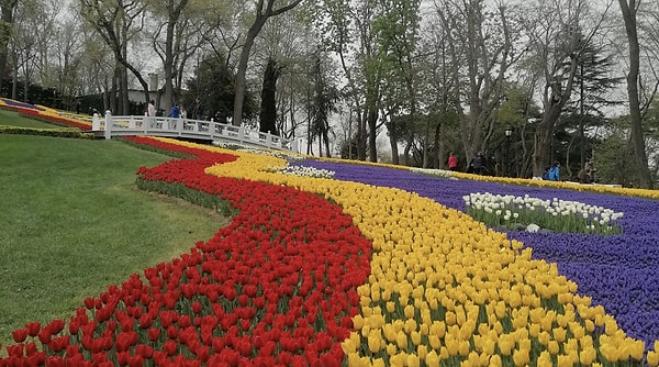 How to get to Emirgan Park?