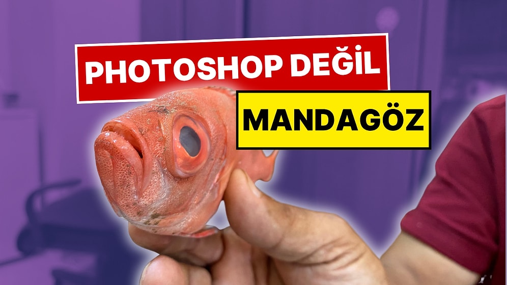 Gözleri Photoshop Gibi! Mandagöz İlk Kez Antalya’da Görüldü: İncelemeye Alındı