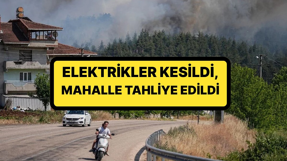 Türkiye&apos;nin Ciğerleri Yanıyor! Bursa ve Balıkesir&apos;de Yangın: Elektrikler Kesildi, Mahalle Tahliye Edildi