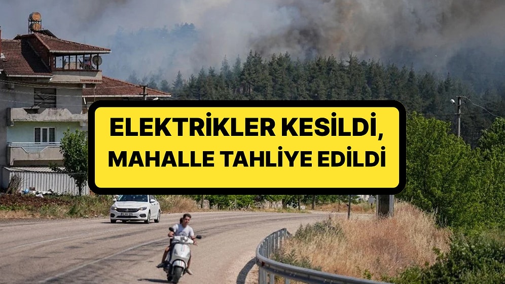 Türkiye'nin Ciğerleri Yanıyor! Bursa ve Balıkesir'de Yangın: Elektrikler Kesildi, Mahalle Tahliye Edildi