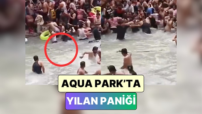 Yeni Fobi Hayırlı Olsun: Hindistan'da Bir Havuza Giren Yılan İnsanların Yüreğini Ağzına Getirdi