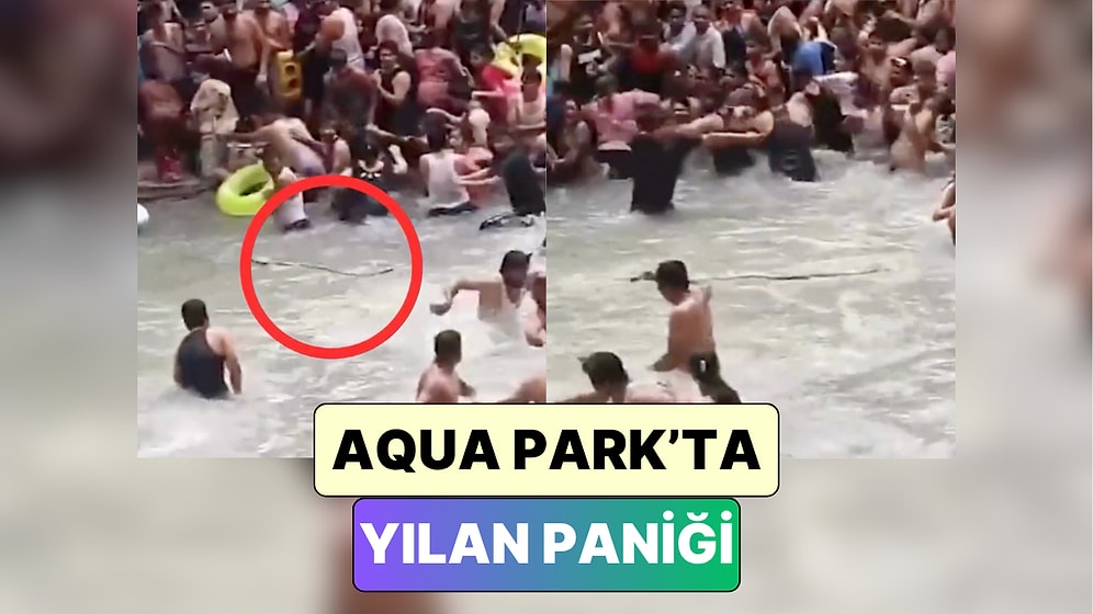 Yeni Fobi Hayırlı Olsun: Hindistan'da Bir Havuza Giren Yılan İnsanların Yüreğini Ağzına Getirdi