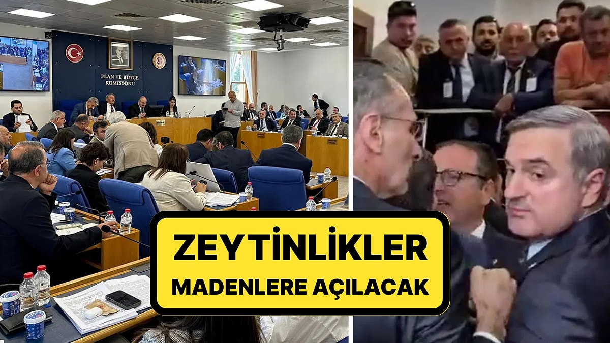 24 Saat Sürdü: İtirazlara Rağmen &apos;Zeytinlik&apos; Maddesi Komisyonda Kabul Edildi