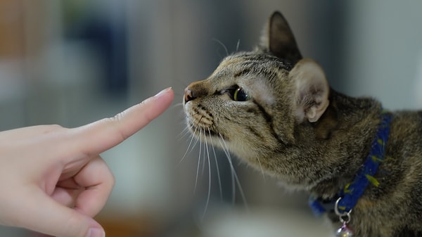 Ama bu onların sizi birebir tanıdığı anlamına gelmeyebilir Görseli