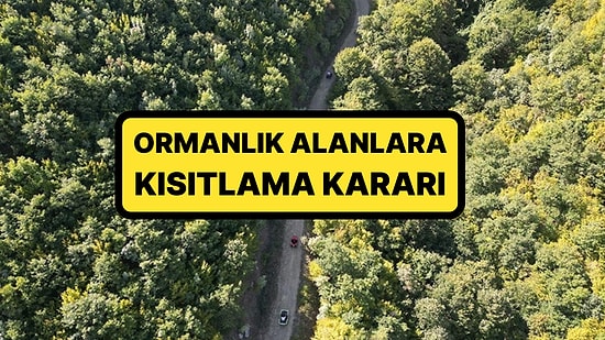 Bu Haberi Okumadan Pikniğe Gitmeyin! İstanbul Valiliği Açıkladı: Ormanlara Girişler Yasaklandı
