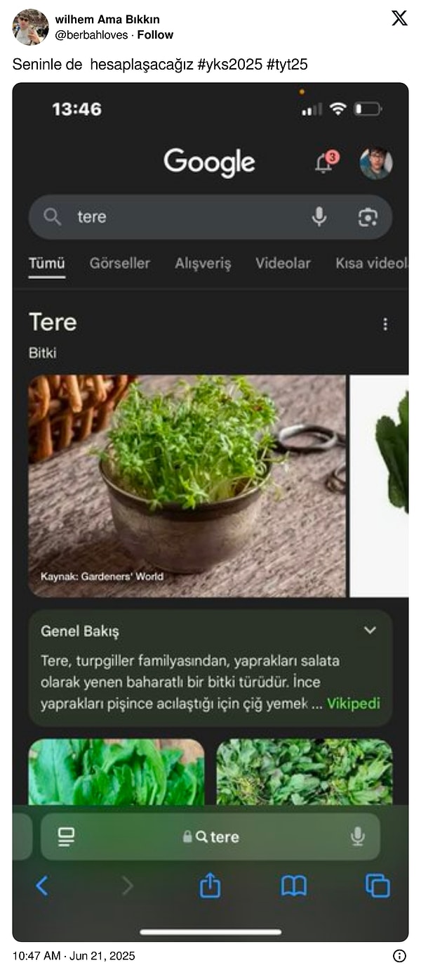 Bazı sorulara fazlasıyla kin besleyenler de vardı tabii.