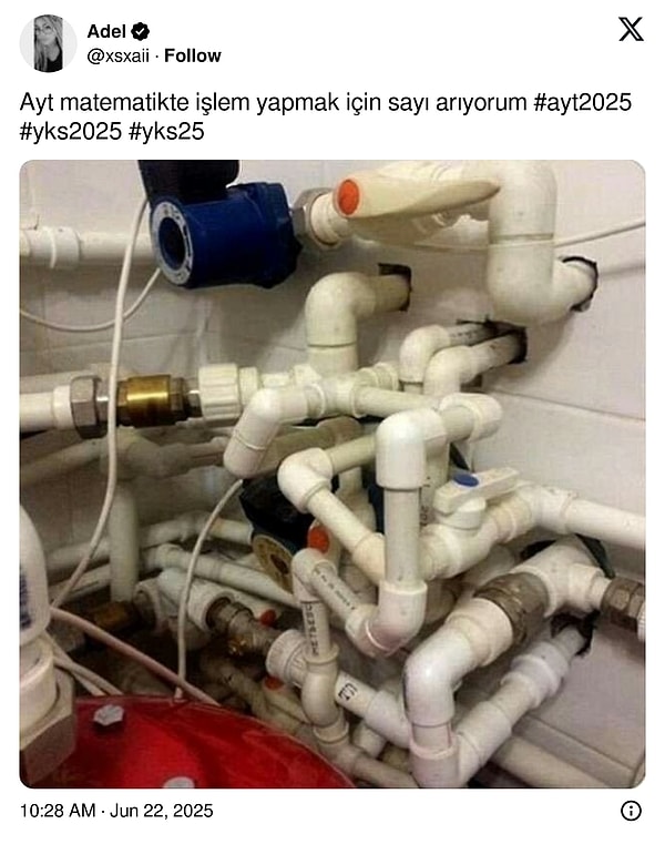 👇🏻