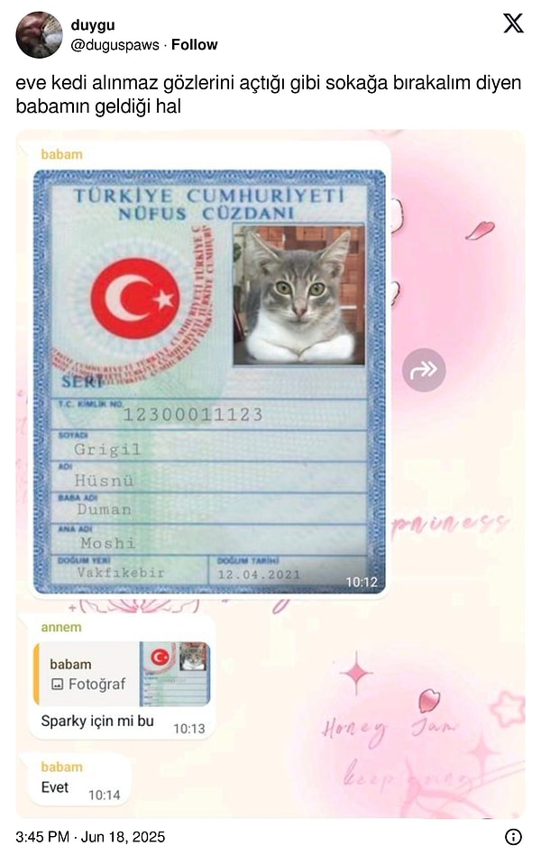 Kapatalım!