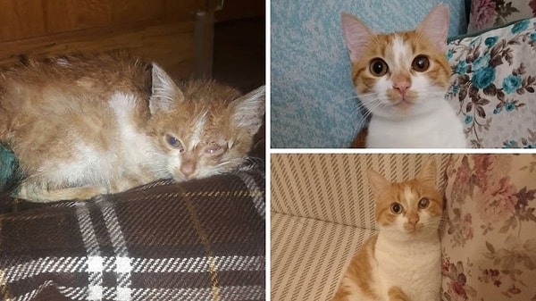 1. O zaman açılışımızı bir okurumuzdan gelen değişimle yapalım! Kendisine uzun ömürler diliyoruz 😻