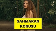 Şahmaran Konusu Nedir? Şahmaran Dizisi Oyuncuları ve Tüm Detaylar
