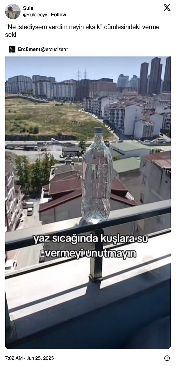Allah razı olsun kral!
