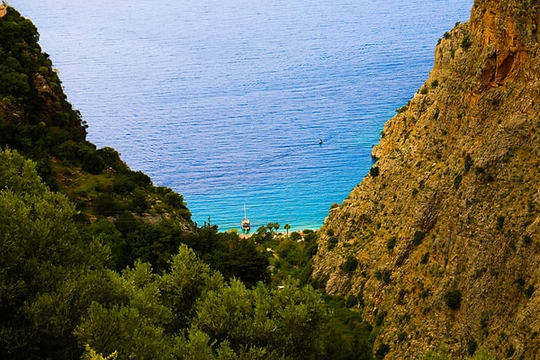 More Detailed Information About the Flora and Fauna in the Valley