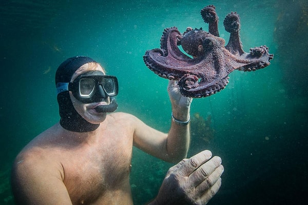 6. My Octopus Teacher