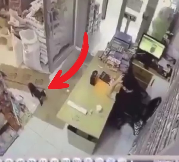 Kamera kayıtlarına bakınca olayın nasıl geliştiği öğrenildi.