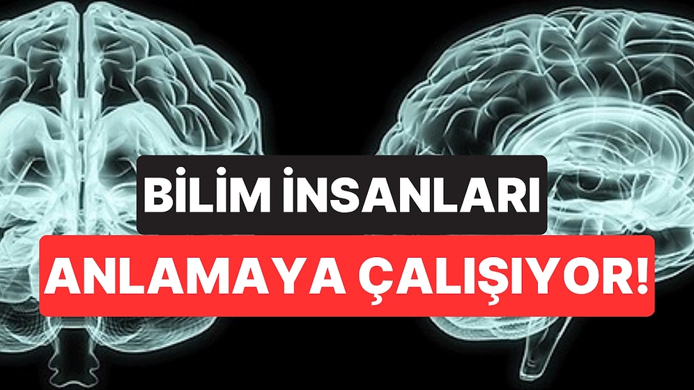 İnsan Beyninin Işık Yaydığını Biliyor muydunuz?