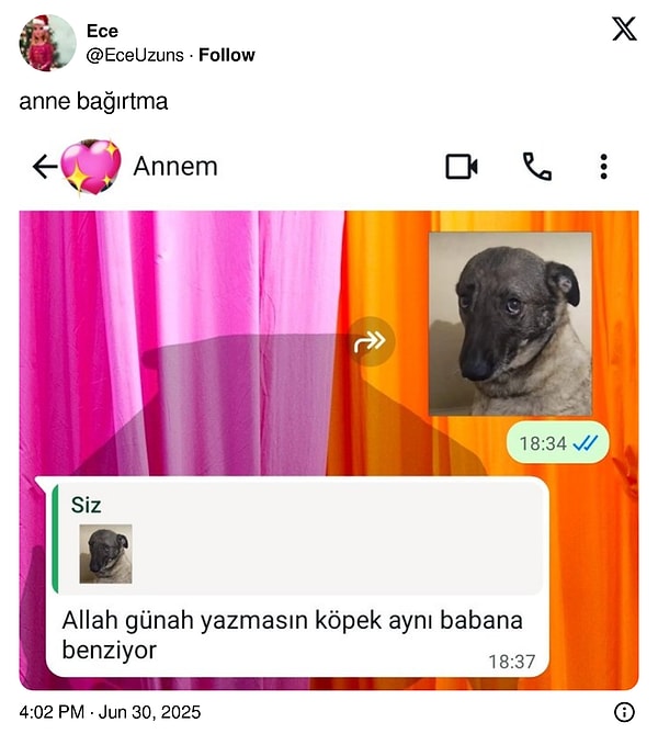 Oldu mu şimdi?