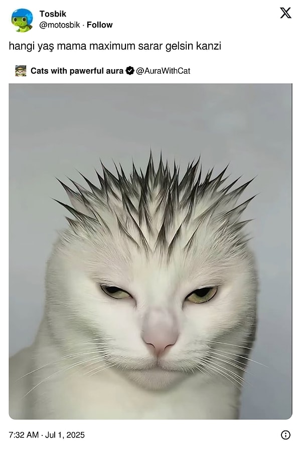 👇