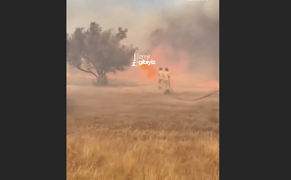 Ildır'da da ormanda başlayan yangın yaşam alanlarına sıçradı. Bölge tahliye edildi.